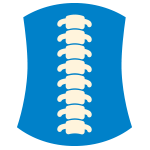 Neck Spine